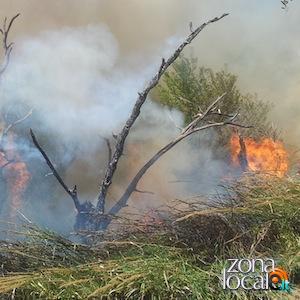 incendio monteodorisio 19apr q