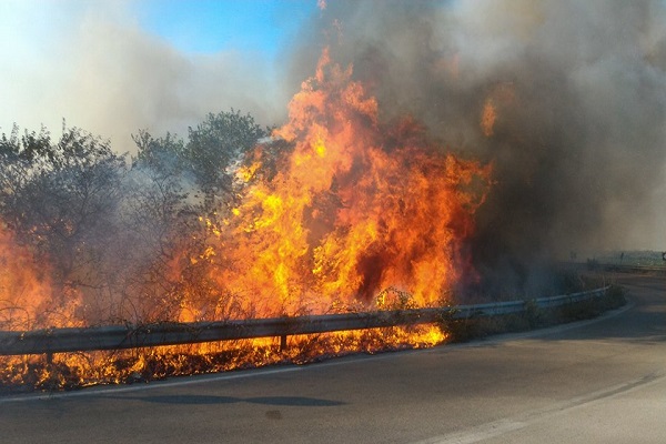 incendio trignina 10lug2017 h3