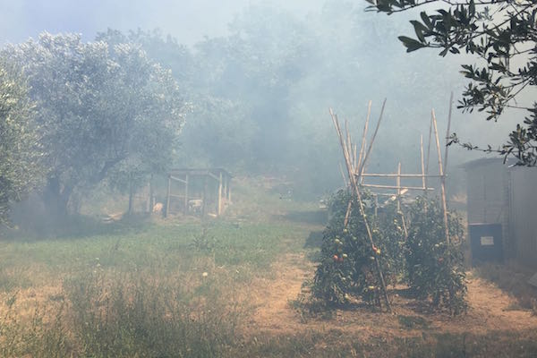 incendio via passo della noce h