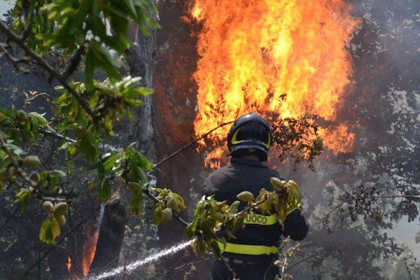 incendio zimarino vegetazione h