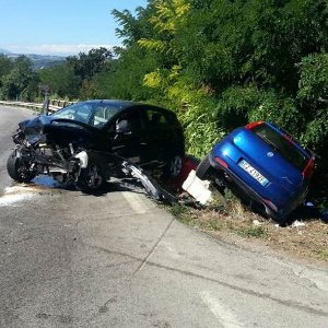 incidente statale zimarino q