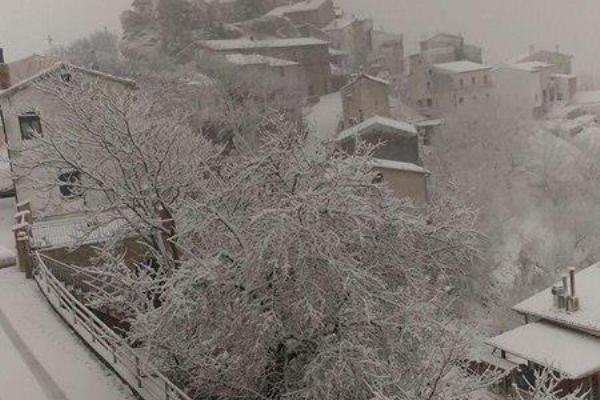 neve guardiabruna 5gen2017 h