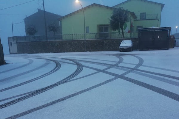 neve palmoli 15 didc 3