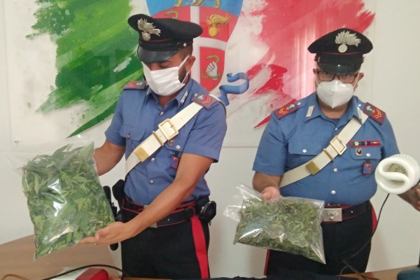 sequestro cannabis se h