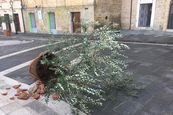 vandali vaso piazza rossetti h