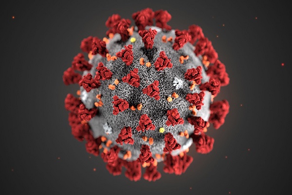 coronavirus editoriale2