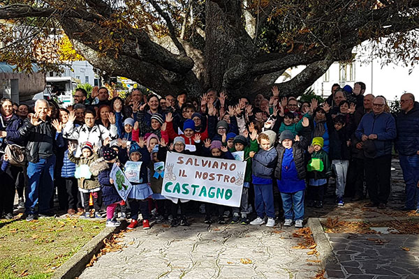 castagnaliscia h