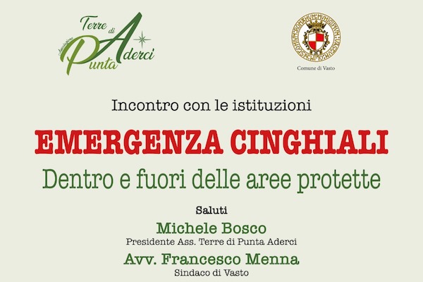 convegno cinghiali h