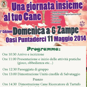 domenica 6 zampe q