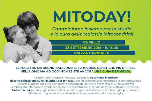 mitoday cupello h