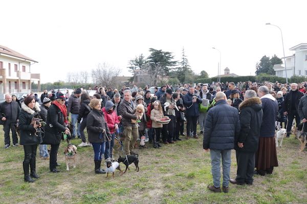 pagliarelli festa animali 2019 h