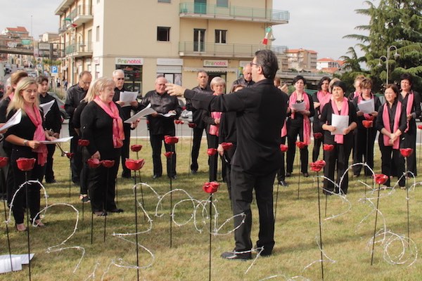 papaveri rossi piazza verdi h