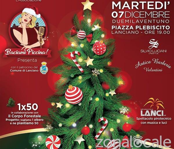 albero 21