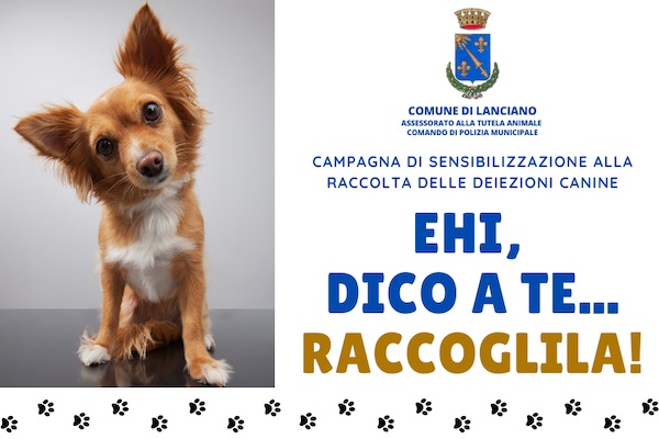 deiezioni canine lanciano