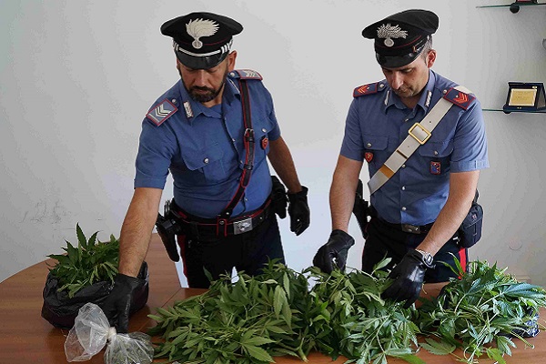 marijuana torricella.peligna h