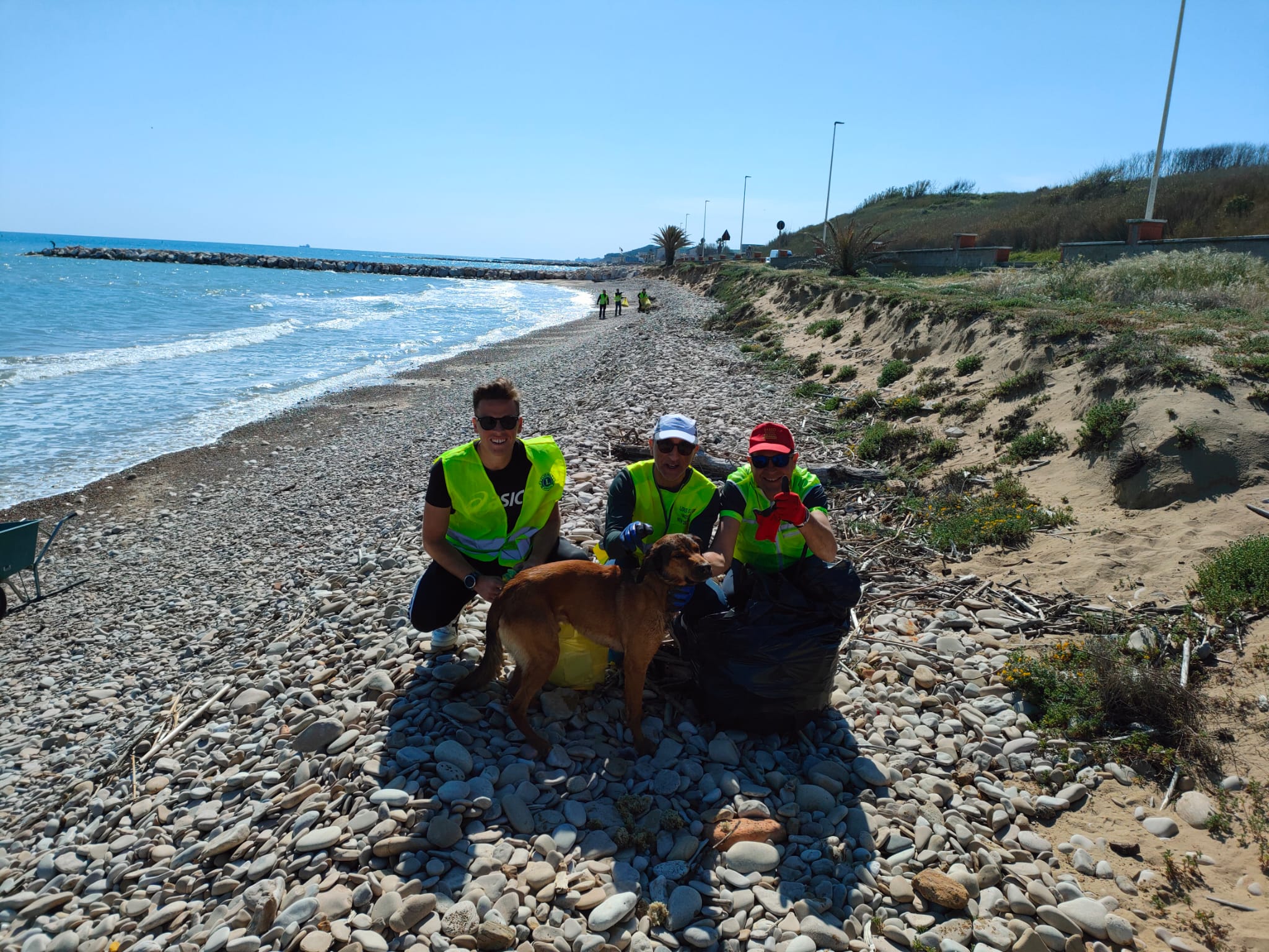 La pulizia della spiaggia