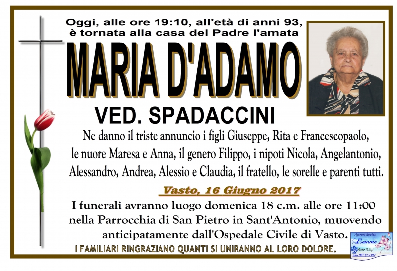 maria d adamo 2017 06 16 1497646216