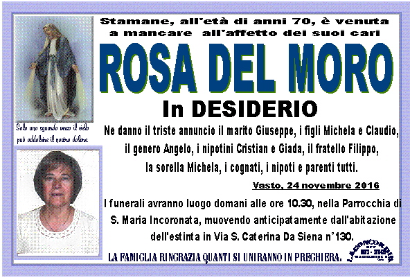 rosa del moro 2016 11 24 1479978761