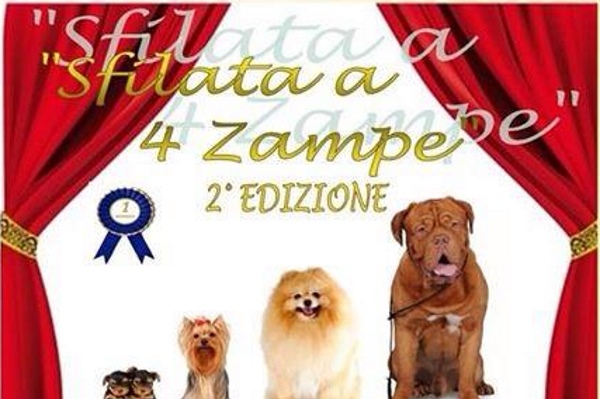 sfilata canina monteodorisio h