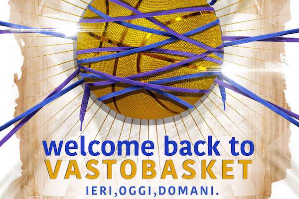 welcome vasto basket h