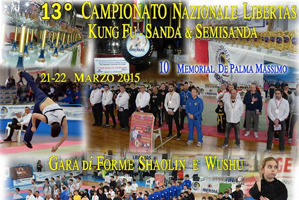 kung fu sanda campionato h