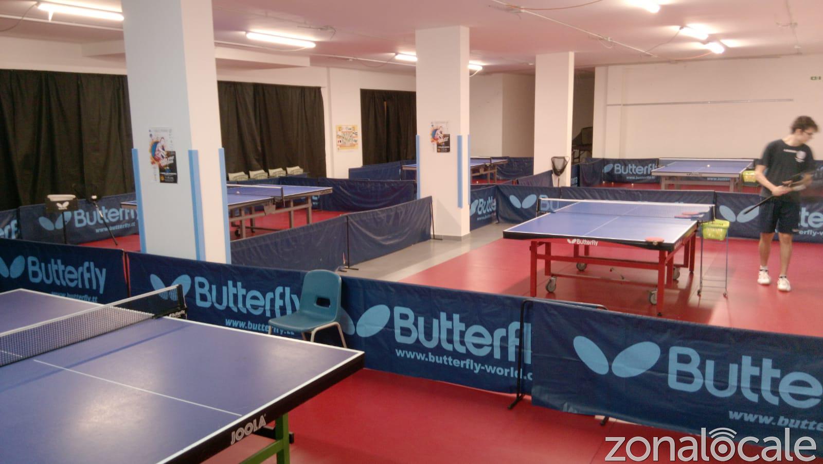 ping pong centro 2