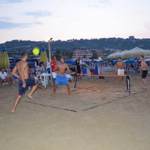 torneo beer tennis q